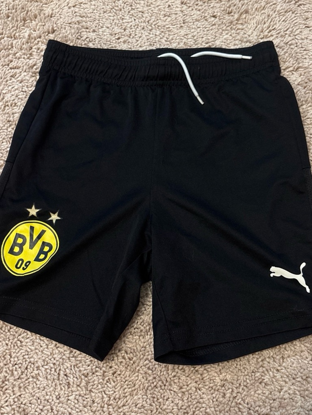 Puma Boys Black Borussia Dortmund Training Shorts